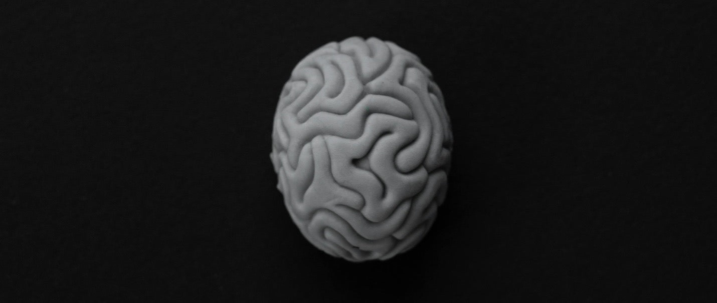 Nuestro Cerebro No Manda