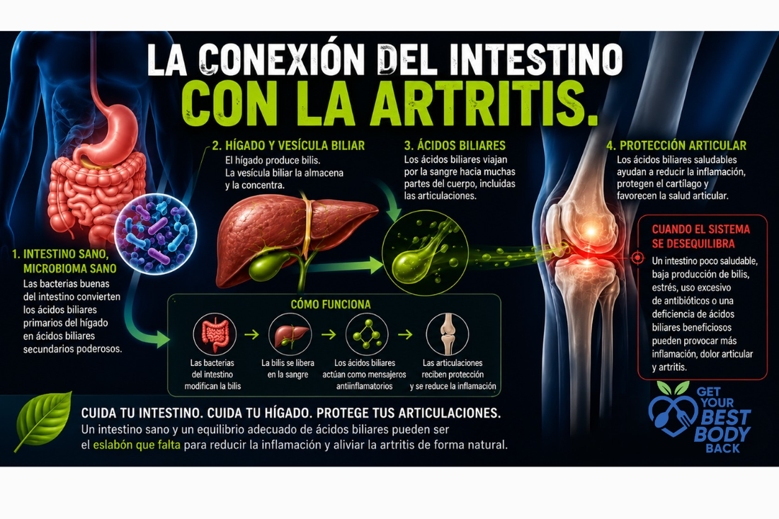 Dolor Articular, Artritis y el Eslabón Perdido en la Salud Intestinal