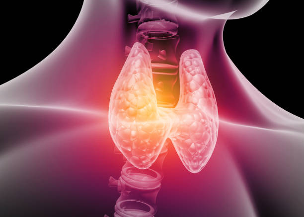 Hipertiroidismo, el Corazón y la Vitamina B1: La Conexión Pasada por Alto