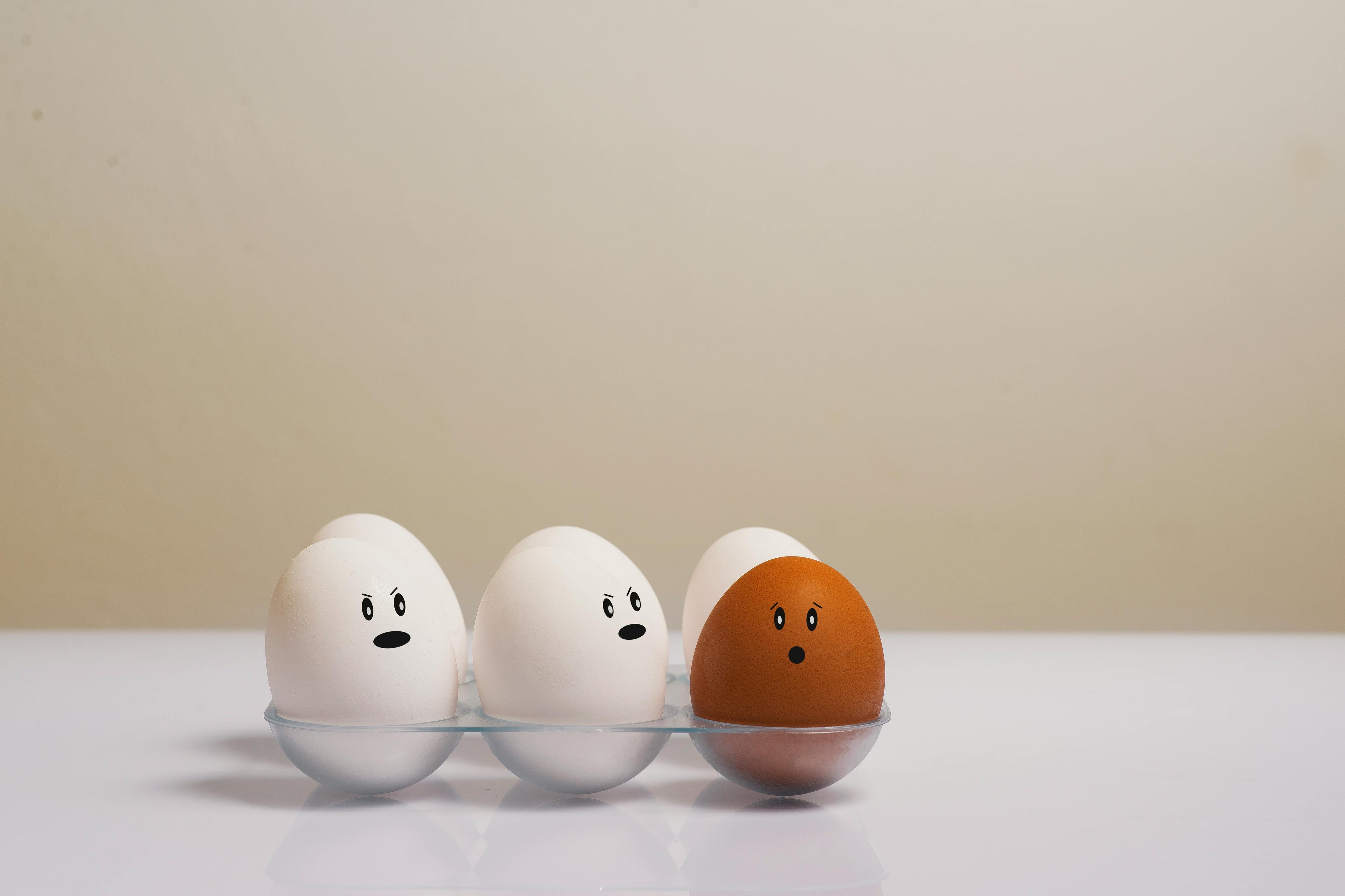 Los Archivos del Huevo… Cluck Cluck